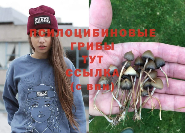 первитин Инсар