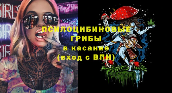 ALPHA PVP Иннополис