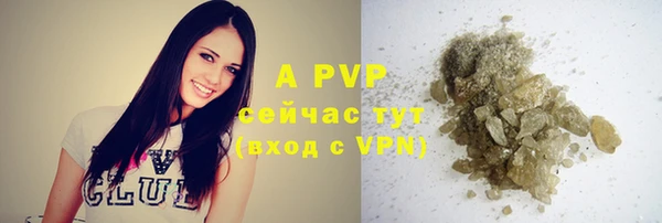 ALPHA PVP Иннополис