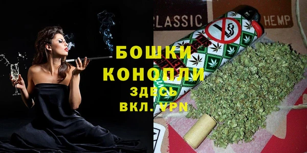 стаф Зеленокумск
