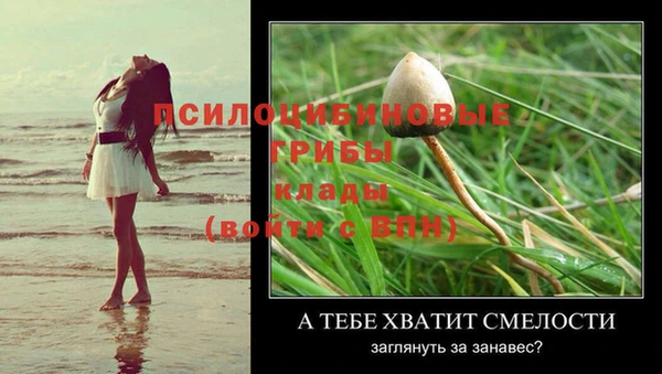 стаф Зеленокумск