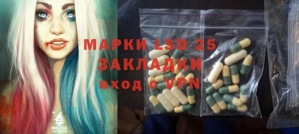 первитин Инсар